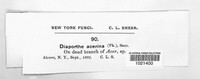 Image Associated With the Occurence